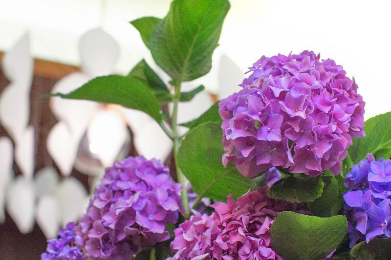 יואנינה Lake Spirit Boutique Hotel & Spa מראה חיצוני תמונה